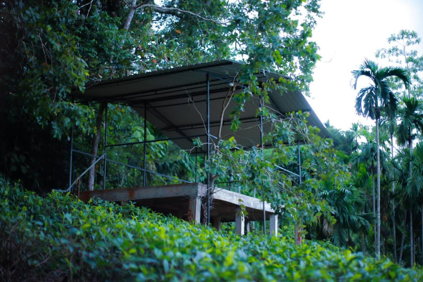 Rainforest Lodge, Deniyaya Singheraja 외부 사진
