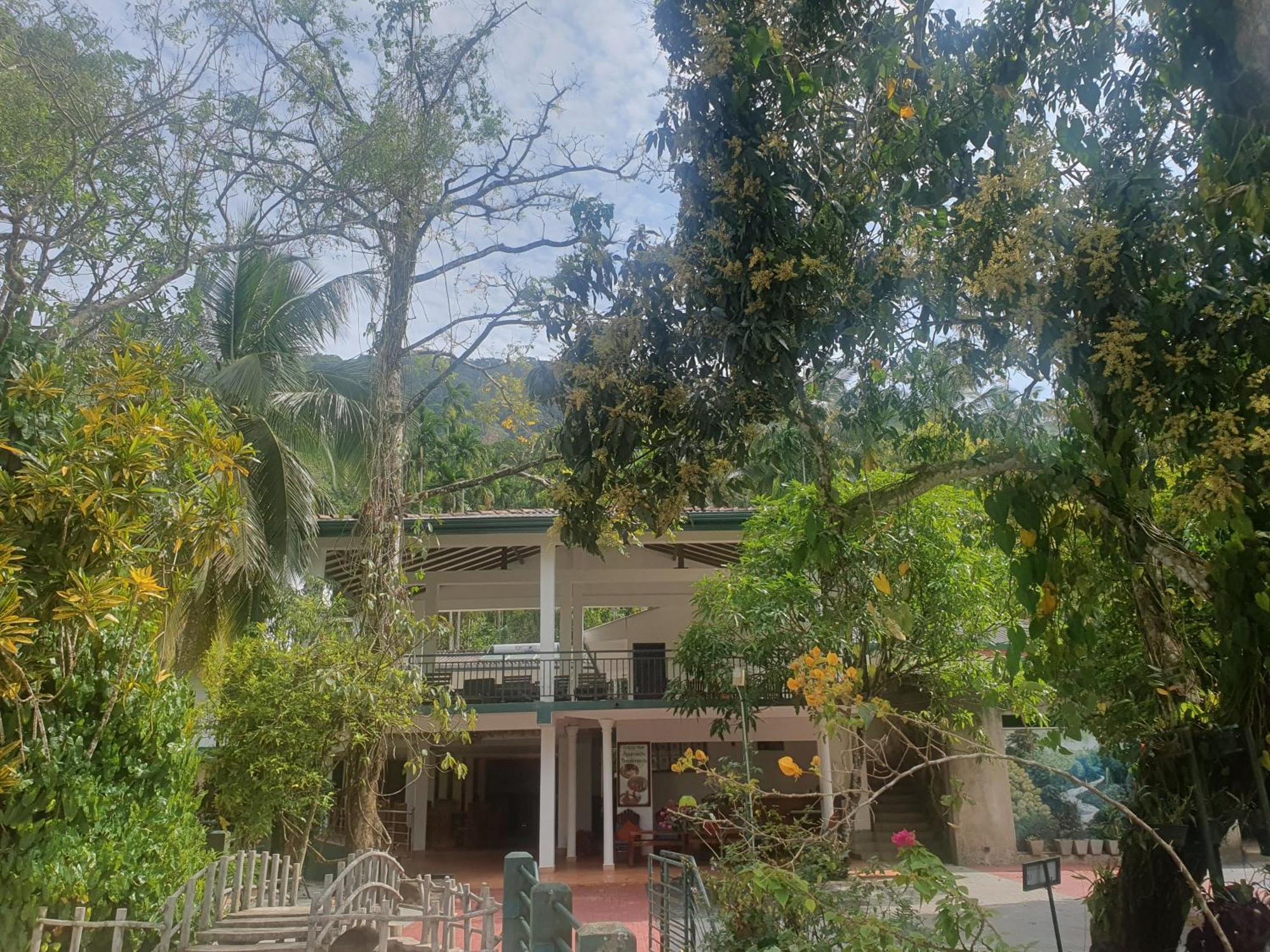 Rainforest Lodge, Deniyaya Singheraja 외부 사진