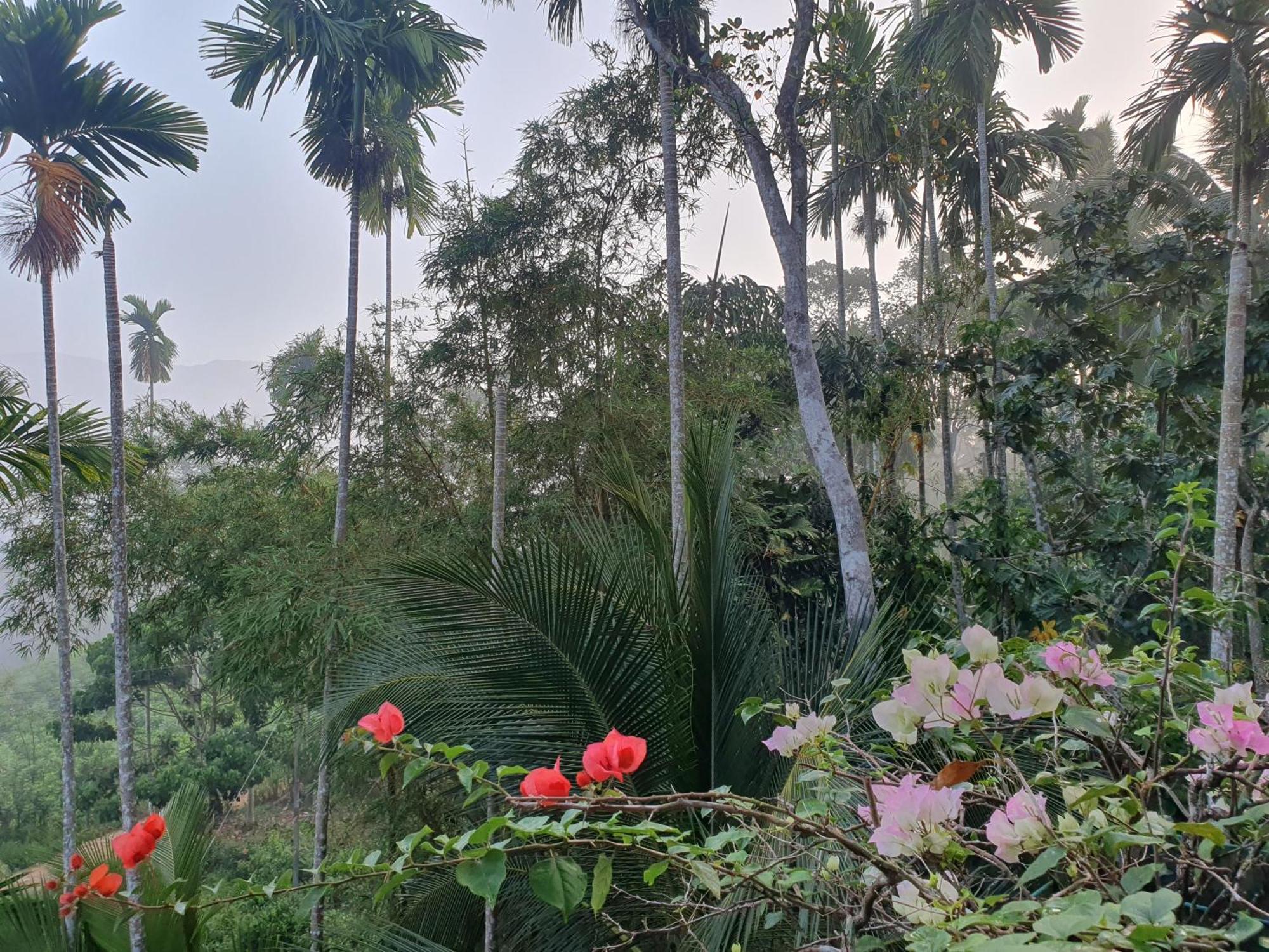 Rainforest Lodge, Deniyaya Singheraja 외부 사진