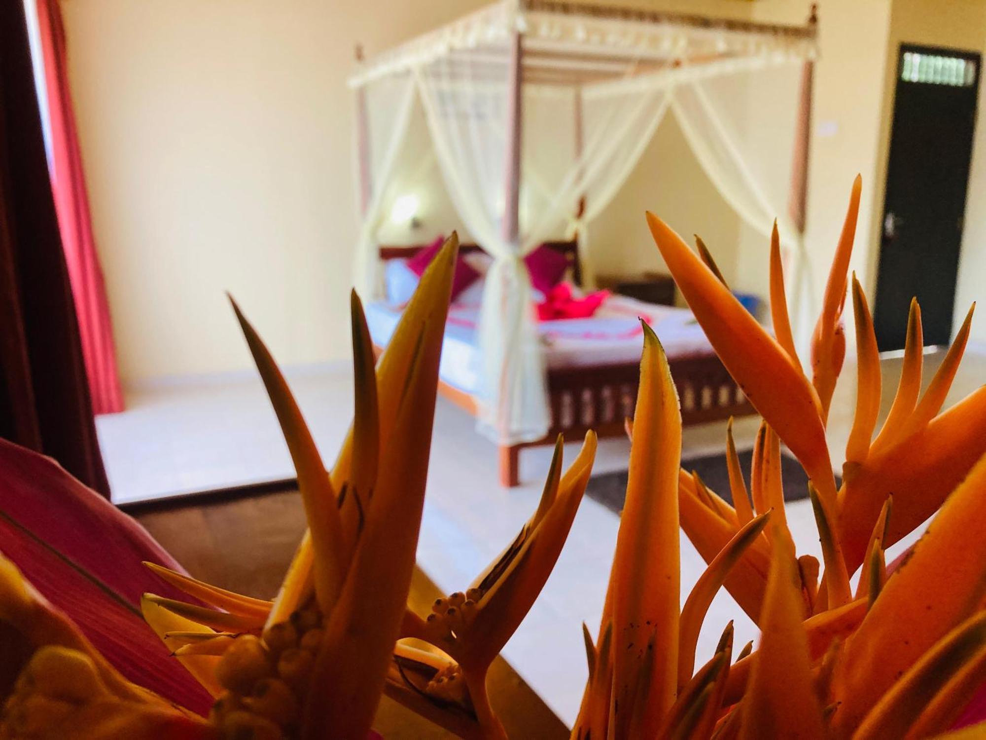 Rainforest Lodge, Deniyaya Singheraja 외부 사진